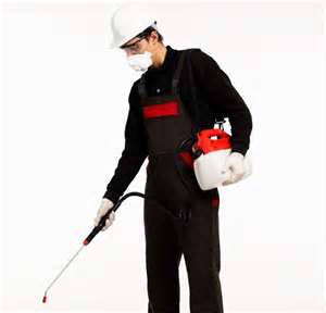 murrieta commercial pest control