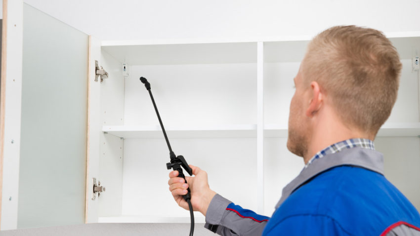 murrieta residential pest control